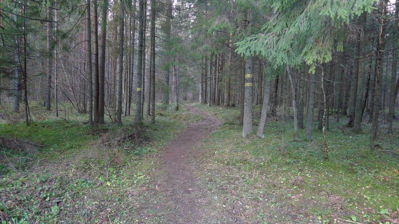 Jalase loodusrada (2 km) Loodusega koos RMK